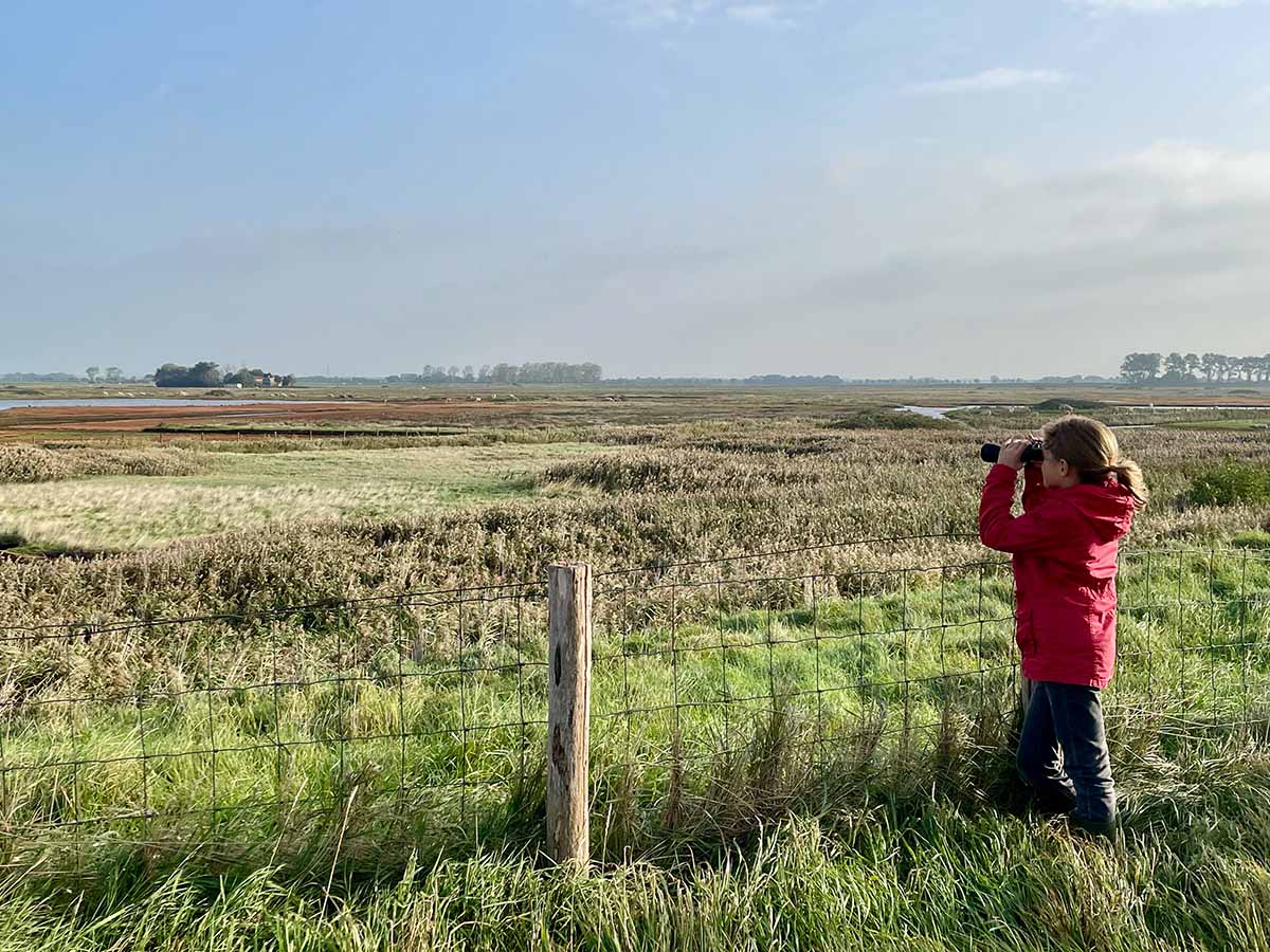 Er zijn nieuwe activiteiten toegevoegd